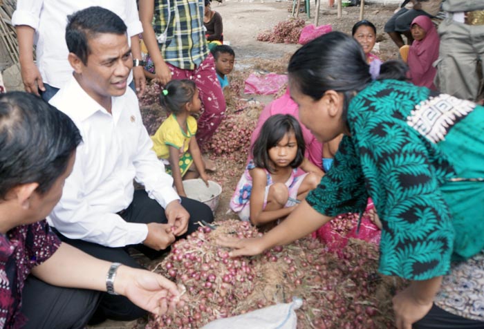 Bawang Merah Bima Rp8 Ribu per Kg, Petani Dapat Bonus Benih Gratis